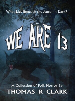 cover image of We Are 13